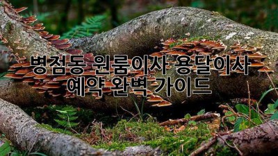 병점동 원룸이사? 용달이사 예약 완벽 가이드!