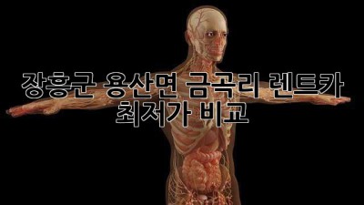 장흥군 용산면 금곡리 렌트카 최저가 비교
