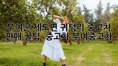부여군 세도면 귀덕리 중고차 판매 꿀팁! 🚗💨 #중고차 #부여중고차
